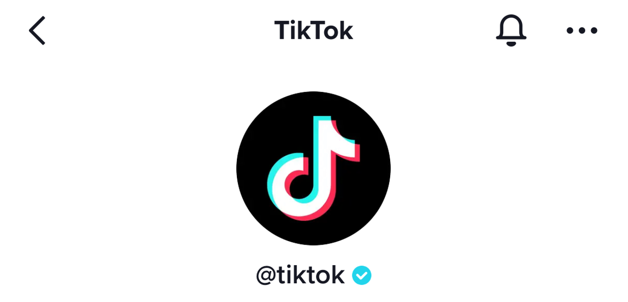Full stack modern javascript
